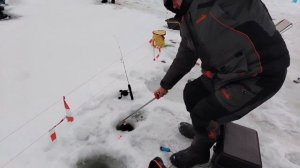 13.01.26 г. РК Волна.