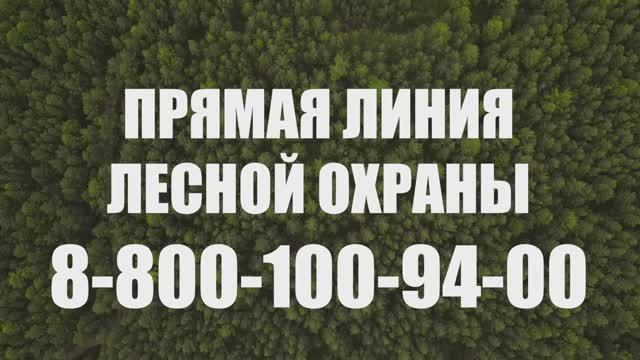 Берегите лесные ресурсы России (15 сек) смотреть онлайн