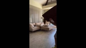 #смешныевидео -696