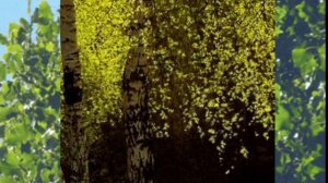 А берёзка кудри завивала.