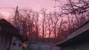 Деревенские будни//Окозы завершились, теперь у нас цирк.