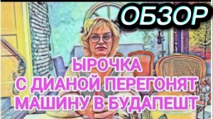 САМВЕЛ АДАМЯН, ОБЗОР ОТ ОЛЬГИ, ИРОЧКА С ДИАНОЙ ПЕРЕГОНЯТ МАШИНУ, БУЛЛИНГ КАРИНЫ..