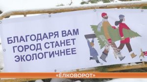 «Ёлковорот»: В Саранске начали работу пункты приёма «отслуживших» елей