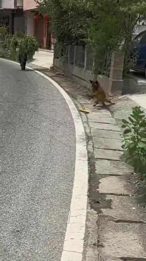 Ах ты подонок!