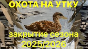 ЗАКРЫТИЕ СЕЗОНА 2025-2026 / ОХОТА НА УТКУ