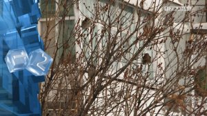 Зима продолжает удивлять переменчивостью погоды, и особенно ее резкими сменами