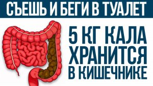 Этот ДЕСЕРТ спасет ваш ЖКТ! / Как наладить работу кишечника и избавиться от запора?