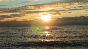 Адлер Сочи Сквер Бестужева Кафе "Патиссон"