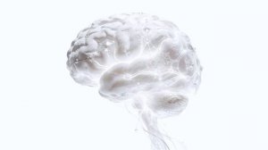 СУПЕРМОЗГ: протокол «Многомерное сознание»