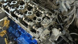 VID_20250112_190617.mp4