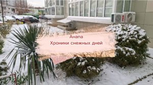 Анапа. Хроники снежных дней. Январь 2026