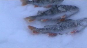 Старый новый год