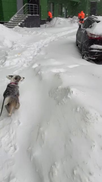 Бегу к дворникам просить помощи. смотреть онлайн