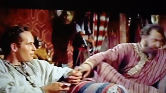 ни одно животное не сохранило первозданную красоту, так как это сделал лошадь