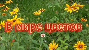 В мире цветов так тепло и прохладно... Доброго дня Всем!