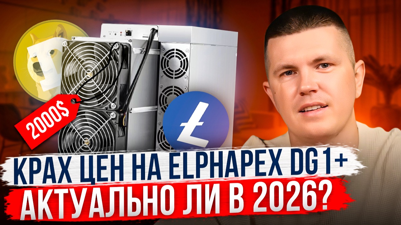 Крах цен на Elphapex DG1+ | Актуально ли в 2026? смотреть онлайн
