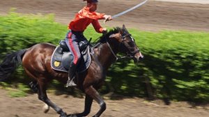 Ярмарки краски