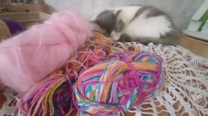 🧦💐🌸🌼🧦СП Свяжем носочки для Мамы и Дочки. Сезон3🧦💐🌸🌼🧦
Вступление
.