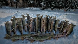 ПЕРВАЯ РЫБАЛКА 23 года, ИСТОРИЯ НО ОЧЕНЬ ПРИЯТНАЯ ИСТОРИЯ НАШЕЙ ЗИМНЕЙ РЫБАЛКИ!