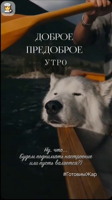 Доброе утро #утро #рек #топ #музыка #цитаты #лайк #яппи смотреть онлайн
