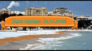 Геленджик накрыла снежная метель 12 января 2026 года!