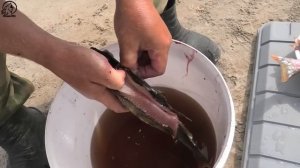 5 Месяцев в Тайге. р. Тым, палатки, рыбалка, окун, филе))) Сезон 2025 г. Серия № 7.