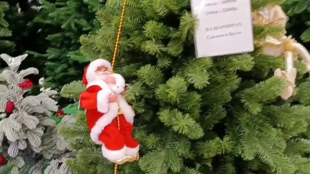 #прогулка по аэропарку в Брянске все красиво смотреть онлайн