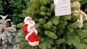 #прогулка по аэропарку в Брянске все красиво