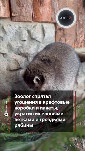 Хищная распаковка смотреть онлайн