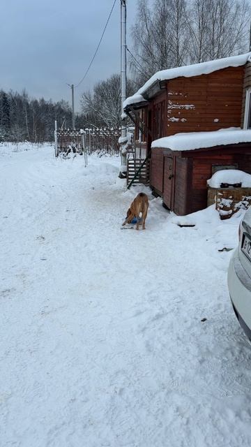 Накорми голодного. anzl.ru смотреть онлайн