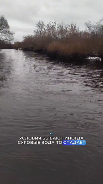 Новый отзыв - новая история успеха 🔥  Благодарим за доверие! Ваши слова вдохновляют нас 😎 смотреть онлайн