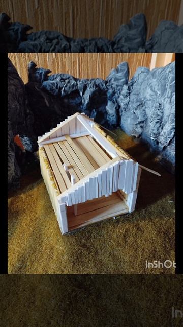 InShot_20260111_085931228.mp4