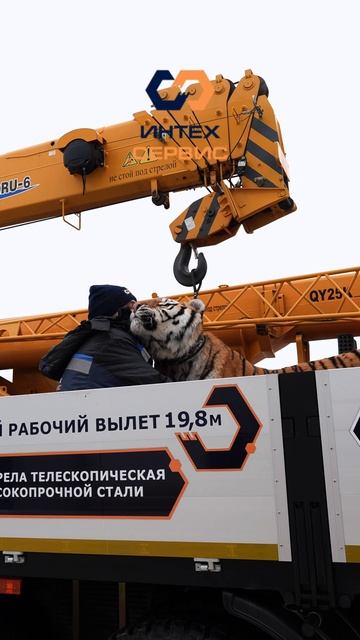 Продажа, аренда и обслуживание спецтехники в ИнтехСервис 🏆