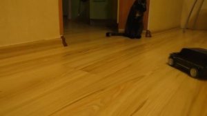 ТЫЖ РЕМОНТЕР! Сломались детские машинки на радиоуправлении - Проблемы с ходо_HD