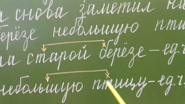 Задание из ВПР Русский язык, 4 класс смотреть онлайн