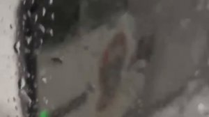 Спасатели МЧС России оказывают помощь жителям полуострова Камчатка