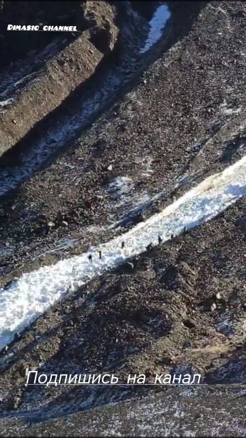 Северная осетия смотреть онлайн