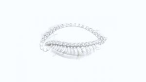 아이돌의 고통: 프로토콜 ‘외로운 신’