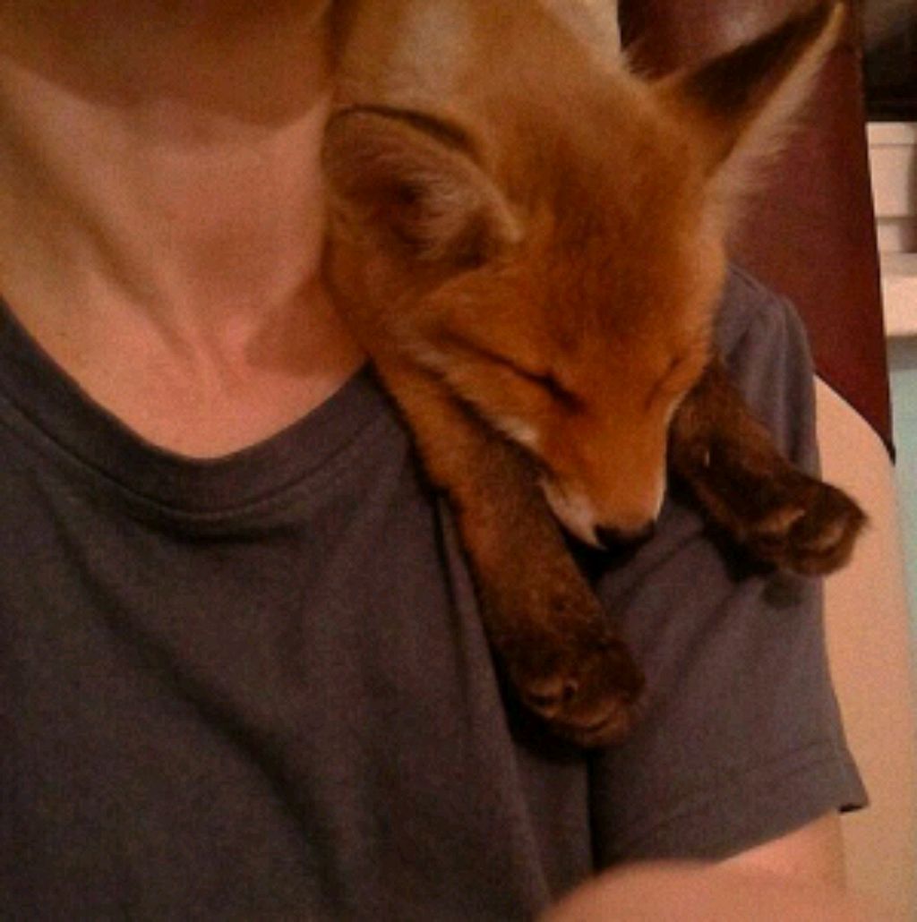 новости. смотреть онлайн