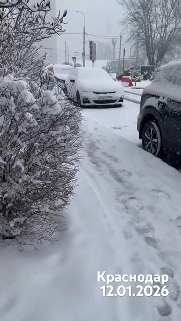 #мамаотличника #снегвкраснодаре смотреть онлайн