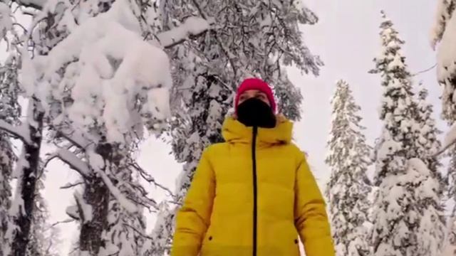 Зимняя атмосферная фоновая музыка для настроения. relax winter music 2026, зимний лес природа смотреть онлайн