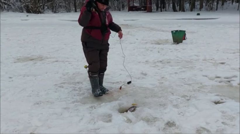 Поимки форели на активные и пассивные снасти. Клёвое  место, Лосиный остров, нижний водоём. смотреть онлайн