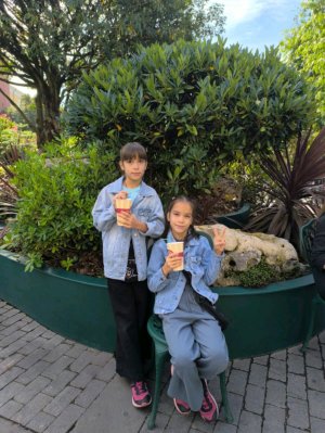 почему мы не пойдём в четверг и пятницу в школу