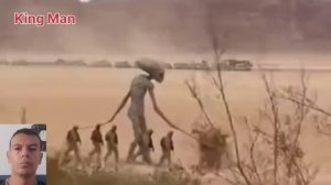 Alien gigante trasportado por militares al Area 51