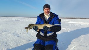 Рыбалка на жерлицы. Неплохой улов для глухозимье.