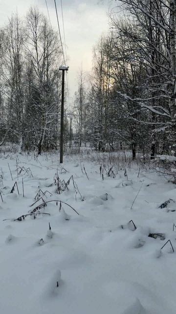 Продается участок 15 сот.  в газифицированной д. Полутино, Киржачский р-н, Владимирская обл. смотреть онлайн