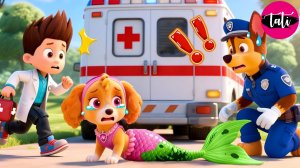 Щенячий патруль и Маршалл. Залипательное видео. Мультфильм для детей и малышей. Анимация 64