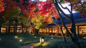 Два дня в уютном рёкане с горячими источниками в Никко когда природа окрашена в осенние цвета Японии