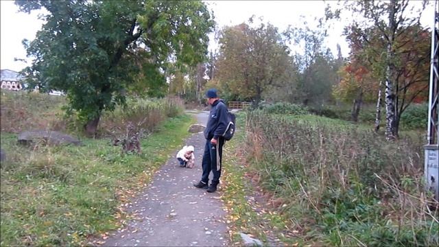 мы гуляем смотреть онлайн