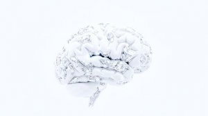 СУПЕРТЕЛО: протокол «Инновационная биоматерия»